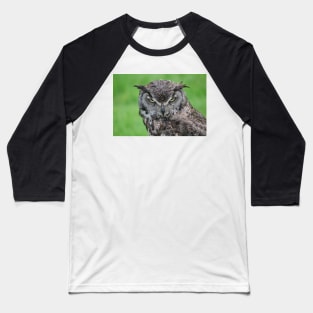 Great Horned Owl Baseball T-Shirt